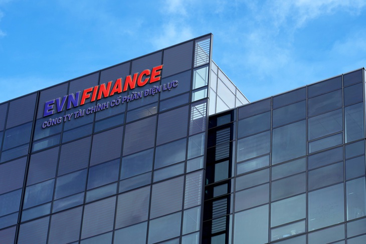 EVNFinance bất ngờ chấm dứt hợp đồng với kiểm toán 'Big4' E&Y - Ảnh 1.