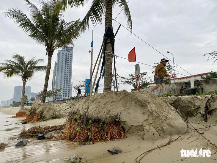 Ba điểm sạt lở trên bờ biển du lịch phía Đông Đà Nẵng - Ảnh 1.