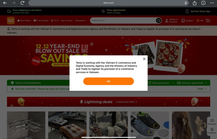 Sàn Temu tạm dừng hoạt động tại Việt Nam  - Ảnh 1.