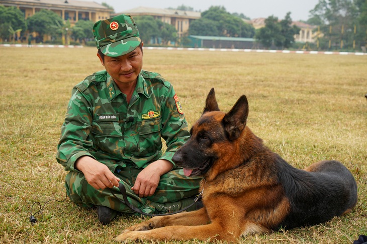 Những chú chó cứu hộ Làng Nủ trình diễn tại Triển lãm quốc phòng quốc tế 2024 - Ảnh 9.