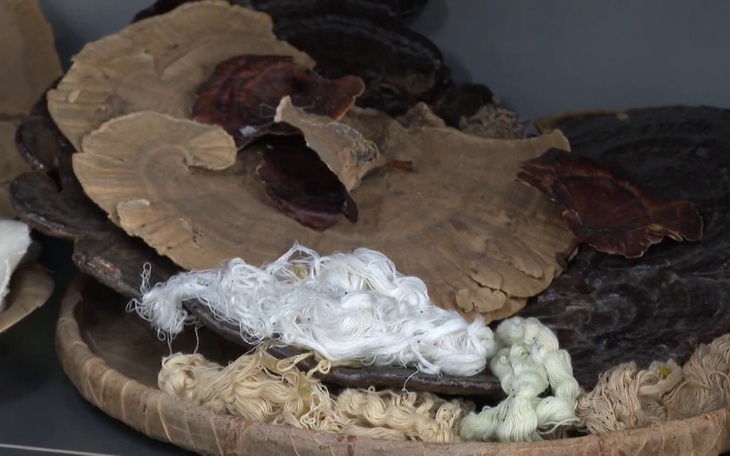 Biến lá dứa phế thải thành vật liệu '2 trong 1': lọc nước độc, truy dấu vân tay - Ảnh 2.