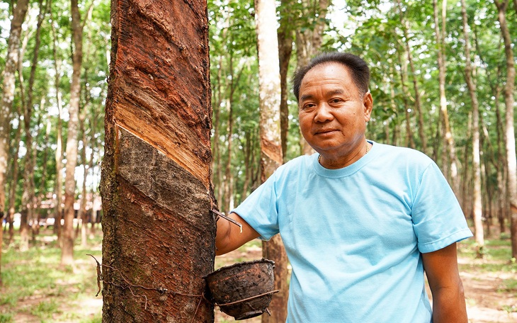 Kỳ tích cao su Việt trên nước bạn Lào - Kỳ 6: Chuyện tình đẹp Việt - Lào dưới đại ngàn cao su - Ảnh 3.