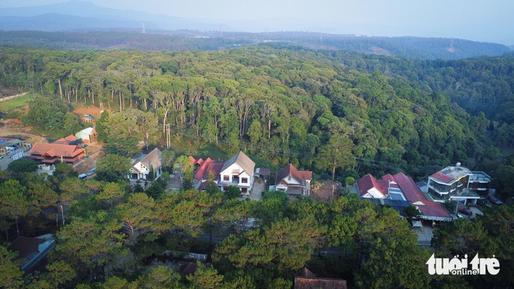 PGS.TS. Nguyễn Thiện Tống: Sân bay Măng Đen nên làm nhỏ, khai thác tàu bay nhỏ - Ảnh 3.