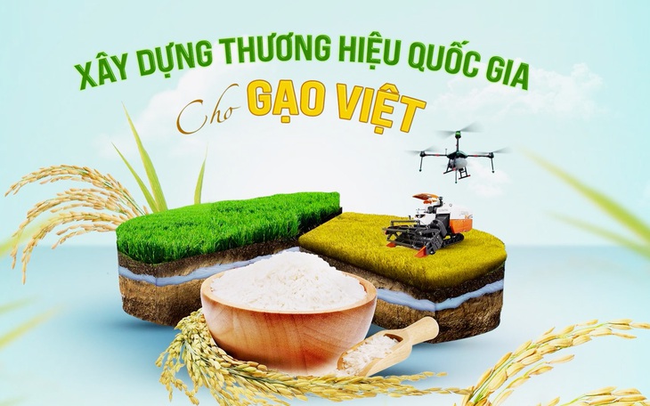 Hội thảo 'Xây dựng thương hiệu quốc gia cho gạo Việt' - Ảnh 2.