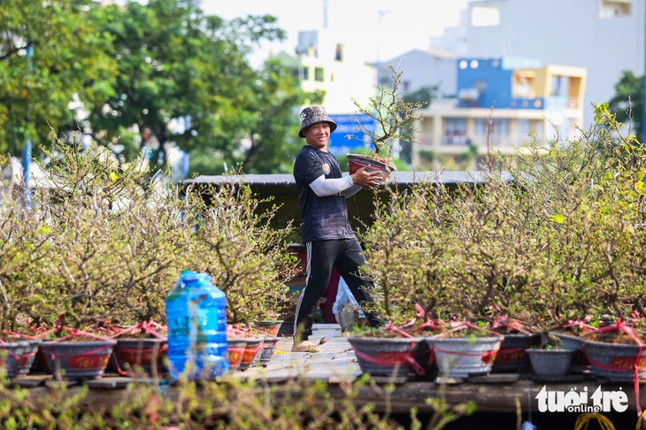 Ghe hàng với hàng trăm cây mai vàng tấp nập cập bến Bình Đông chiều 31-1 - Ảnh: PHƯƠNG QUYÊN