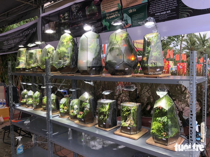 Để làm một tác phẩm terrarium cần những nguyên liệu đơn giản như gỗ lũa, đá, các bức tượng nhỏ, sỏi suối, rêu, các loại thực vật nhỏ - Ảnh: LỆ THÀNH