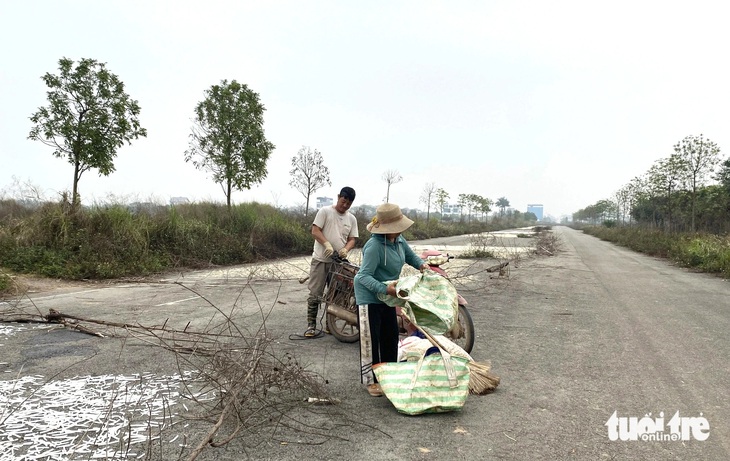 Một số khu đô thị tại huyện Mê Linh, TP Hà Nội xây dựng xong nhiều năm vẫn để hoang, vắng bóng người ở - Ảnh: B.NGỌC