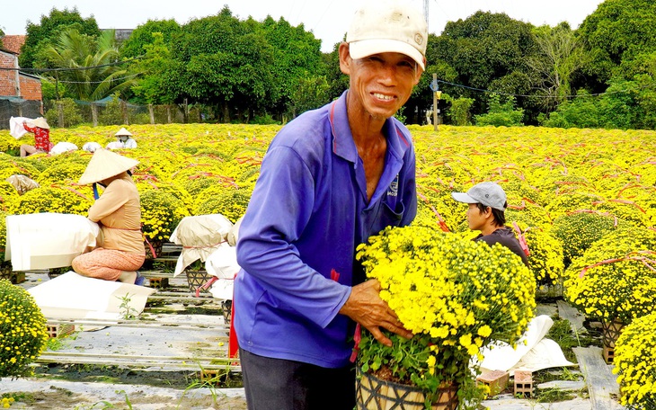 Hoa Tết tiêu thụ chậm, thay đổi cách bán - mua