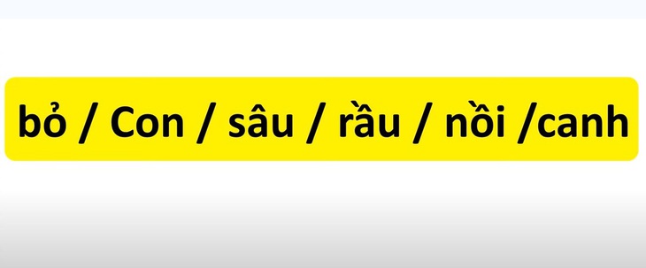 Thử tài tiếng Việt: Sắp xếp các từ sau thành câu có nghĩa- Ảnh 3.