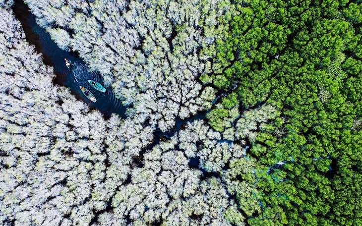 Măng Đen Ultra Trail 2026, giải chạy xuyên qua rừng nguyên sinh và văn hóa - Ảnh 6.