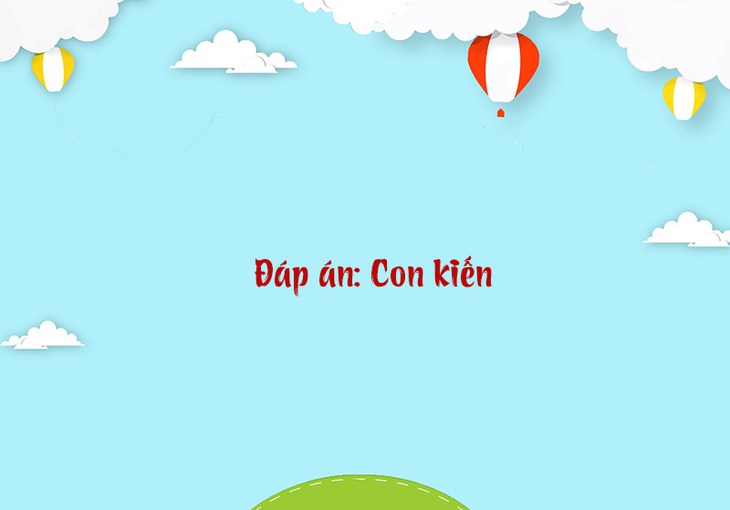 Câu đố hack não: Đi nằm, đứng nằm nhưng nằm lại đứng?- Ảnh 4.