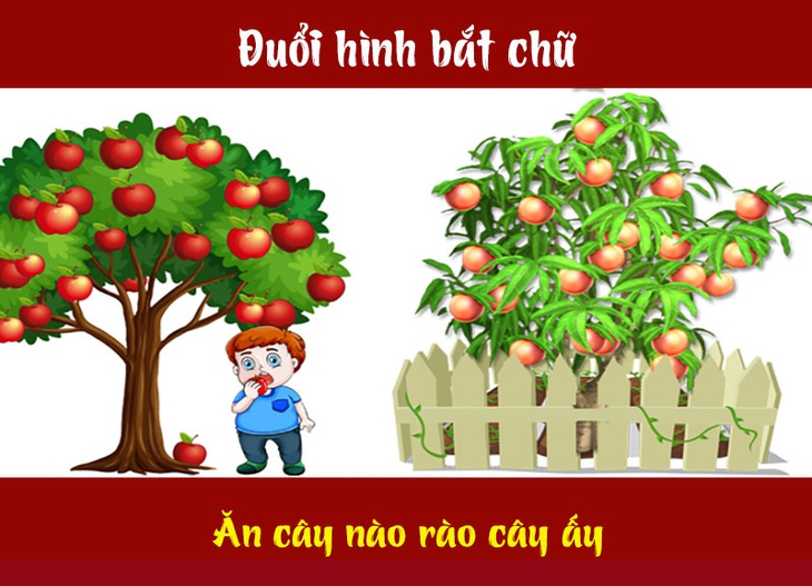 Câu tục ngữ, thành ngữ 'khó nhằn' này là gì? (P56)- Ảnh 4.