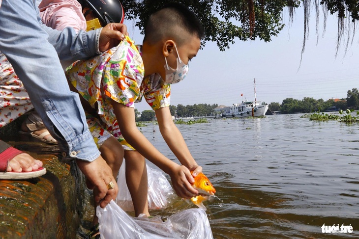 Trẻ nhỏ cũng hào hứng xin phụ huynh thả cá chép ngày ông Công, ông Táo - Ảnh: TIẾN QUỐC