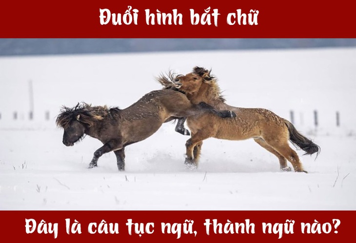 Câu tục ngữ, thành ngữ 'khó nhằn' này là gì? (P54)- Ảnh 3. Câu tục ngữ, thành ngữ 'khó nhằn' này là gì? (P54)- Ảnh 3.