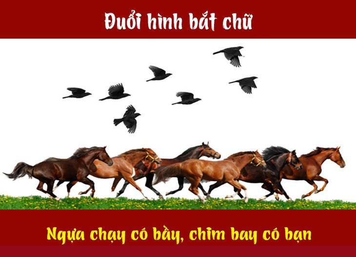 Câu tục ngữ, thành ngữ 'khó nhằn' này là gì? (P56)- Ảnh 2.