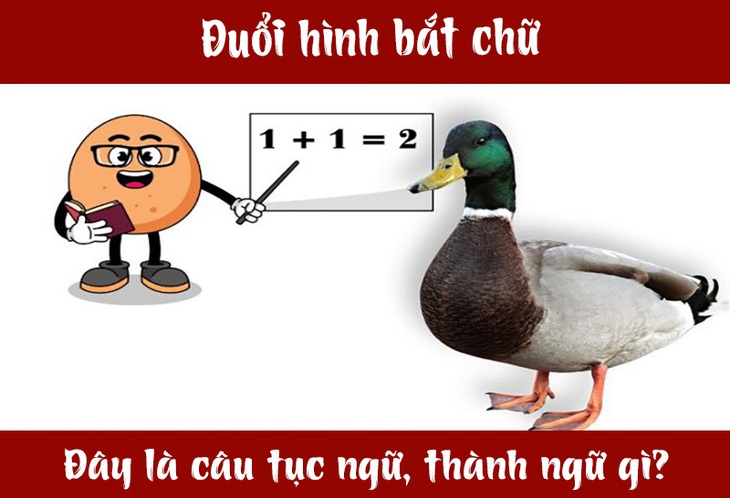 IQ cao có đoán được đây là câu tục ngữ, thành ngữ gì? (P42)- Ảnh 3.