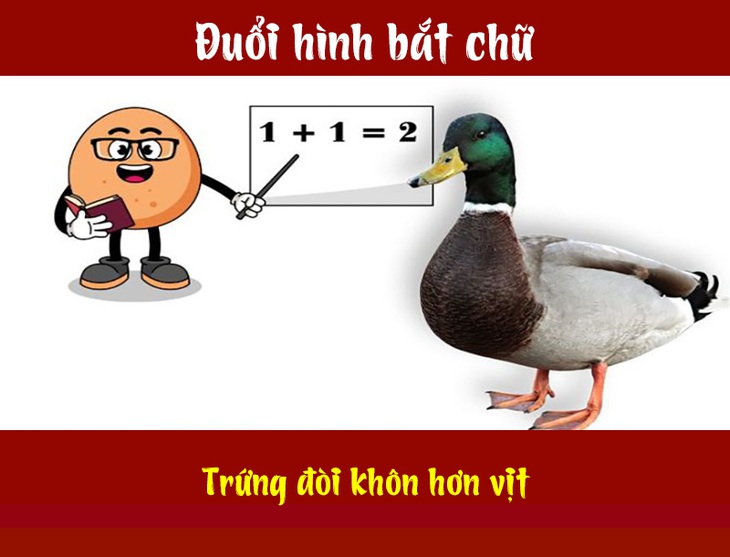 IQ cao có đoán được đây là câu tục ngữ, thành ngữ gì? (P42)- Ảnh 4.