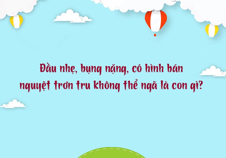 Câu đố hack não: Con gì trông mềm mại, tên lại cứng cáp?- Ảnh 3.