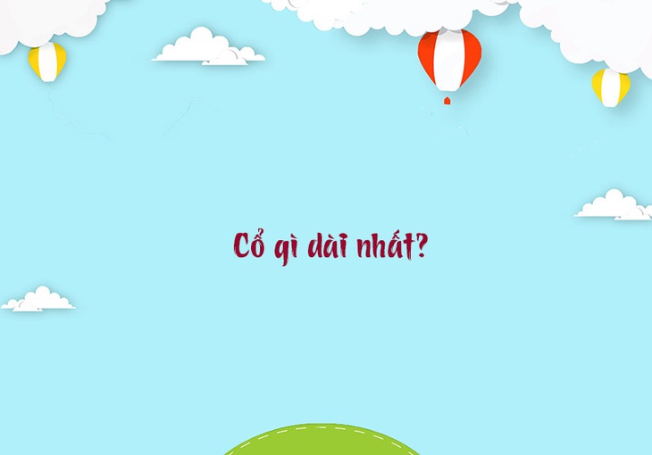 Câu đố hack não: Con gì có thịt không xương?- Ảnh 3. Câu đố hack não: Con gì có thịt không xương?- Ảnh 3.
