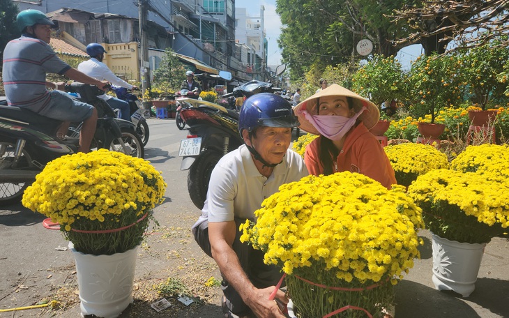 Giá hoa Tết giảm nhưng sức mua cũng... giảm theo