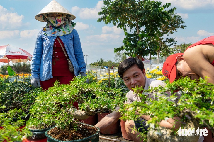 Người dân chọn cây chưng Tết tại chợ hoa Bình Điền trước giờ khai mạc - Ảnh: M.S.