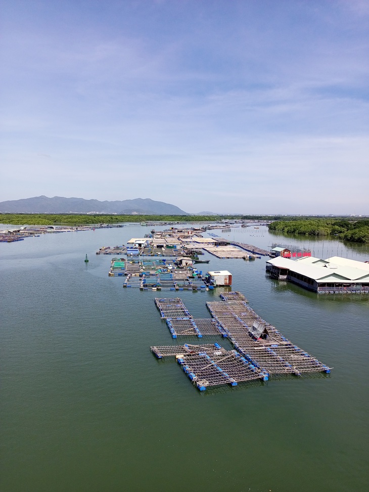 Làng bè Long Sơn nhìn từ trên cầu Chà Và