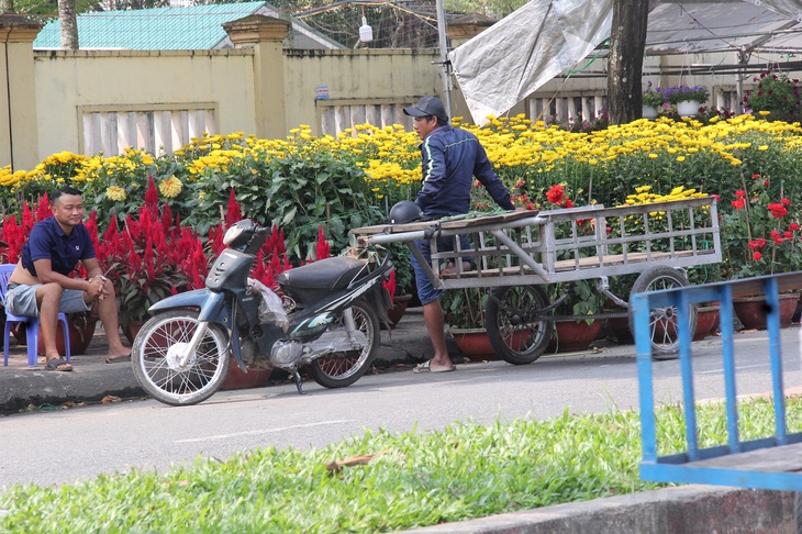 Người bán và người kéo cộ chở hoa Tết mưu sinh mỏi mệt vì sức mua quá yếu - Ảnh: TRẦN MAI