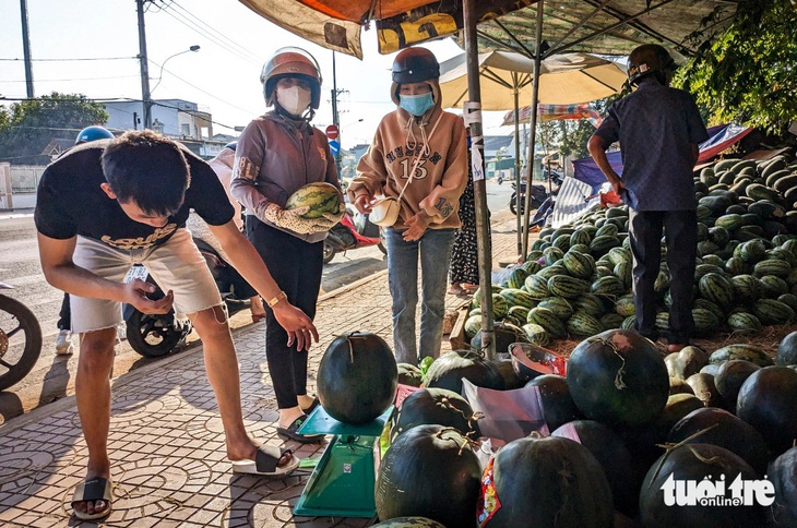 Dưa hấu các loại được nông dân Tây Nguyên chất thành đống ven đường, bán xả hàng chiều 30 Tết - Ảnh: TẤN LỰC 