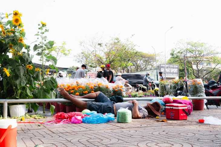 Anh Hải, thương lái bán hoa Tết, tranh thủ chợp mắt để tối nay dọn hết hoa trả mặt bằng cho công viên - Ảnh: THANH HIỆP