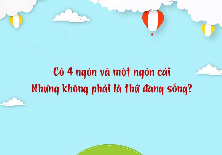 Câu đố hack não: Ông gì có lưỡi to nhất?- Ảnh 3.