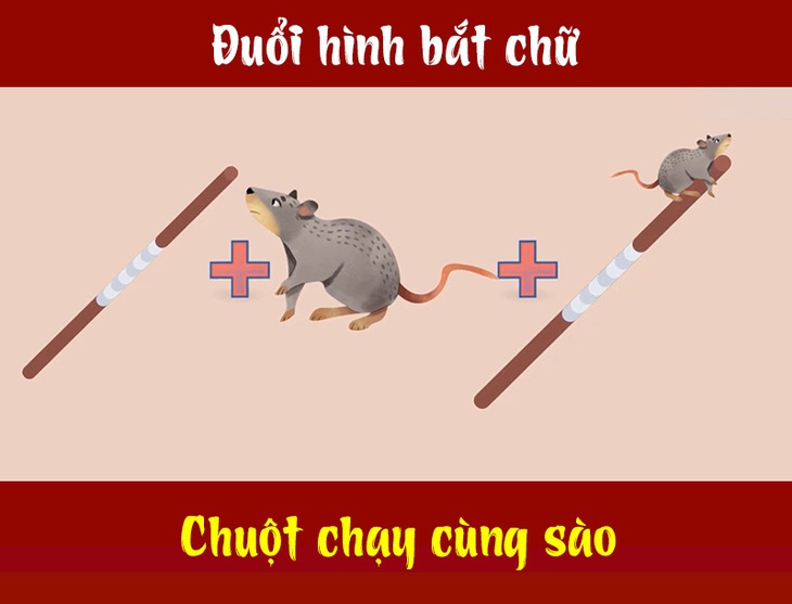 IQ cao có đoán được đây là câu tục ngữ, thành ngữ gì? (P49)- Ảnh 4.