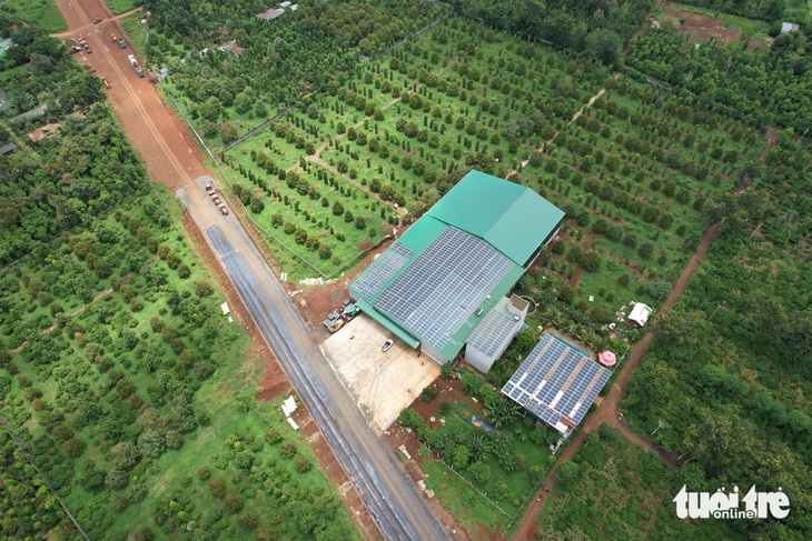 Kho sầu riêng của gia đình ông Trần Đức Lanh - nguyên phó chủ tịch UBND huyện Krông Pắk - xây trên đất nông nghiệp, vi phạm hành lang giao thông - Ảnh: TRUNG TÂN