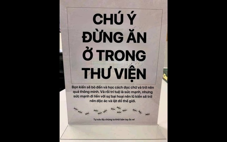 Ảnh vui 20-3: Cho kiến ăn trong thư viện là một tội ác