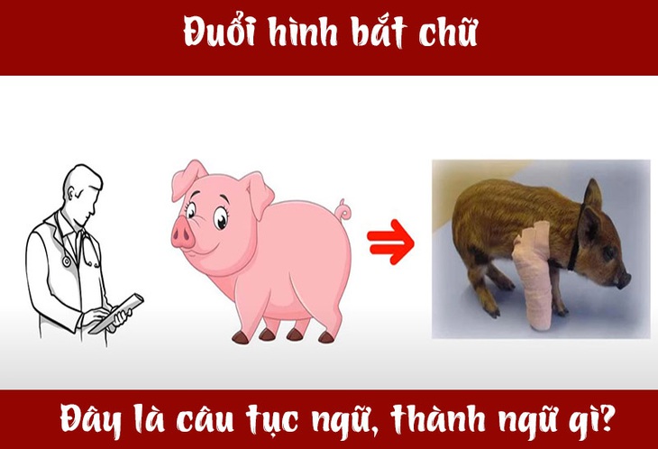 IQ cao có đoán được đây là câu tục ngữ, thành ngữ gì? (P52)- Ảnh 3.