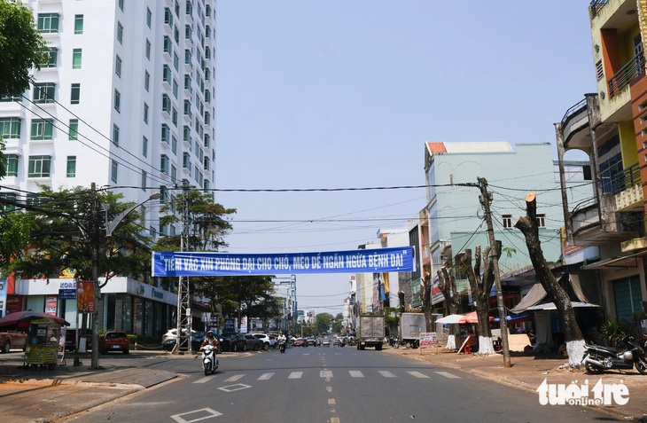 Băng rôn tuyên truyền tiêm vắc xin phòng dại cho chó mèo tại Pleiku, Gia Lai - Ảnh: TẤN LỰC 