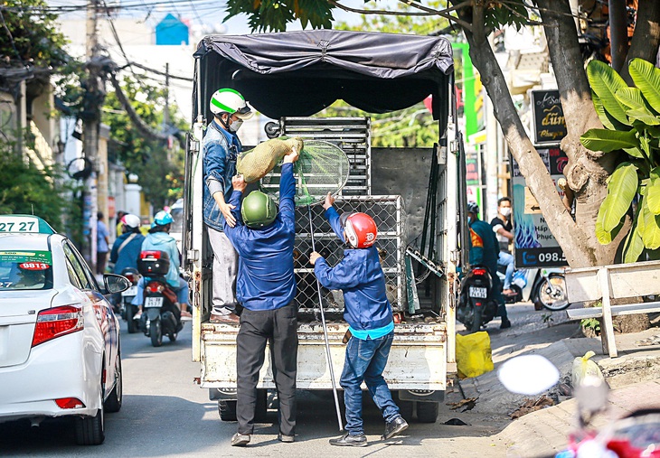 Đội bắt chó thả rông ở phường Hiệp Bình Chánh, TP Thủ Đức, TP.HCM - Ảnh: CHÂU TUẤN