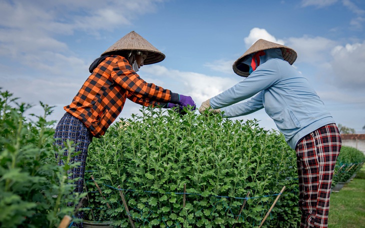 Hỗ trợ 25.000 nữ doanh nhân phát triển doanh nghiệp