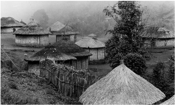 Một ngôi làng bản địa điển hình ở khu vực Eastern Highlands, miền đông quốc đảo Papua New Guinea - Ảnh: Getty