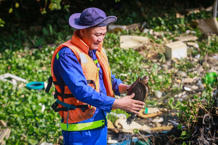 Trong lúc thu gom ở đoạn thượng lưu kênh, nhân viên đã phát hiện một con rùa đang bơi giữa đống rác - Ảnh: CHÂU TUẤN