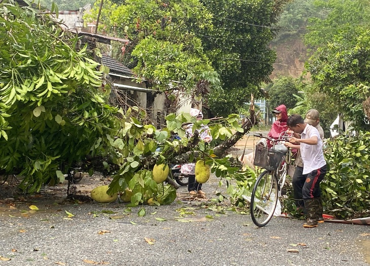 Người dân khiêng xe đạp qua đoạn có cây ngã đổ - Ảnh: LÊ TRUNG