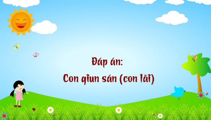 Câu đố hack não: Vì sao mặt trời mọc ở hướng Đông?- Ảnh 6.