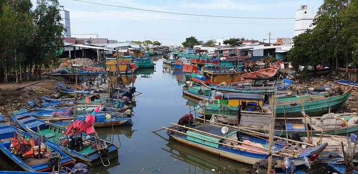 Cà Mau là tỉnh có hàng ngàn tàu khai thác thủy sản đăng kiểm mỗi năm - Ảnh: THANH HUYỀN