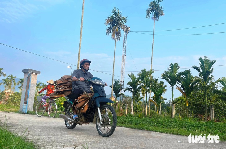 Hàng ngàn người có việc làm nhờ chế biến mo cau, cả những người lớn tuổi