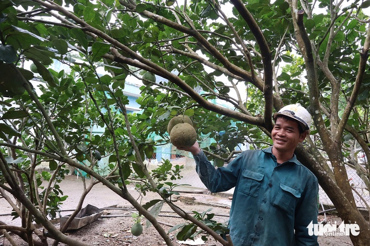 Hiên Chưu, một hộ trẻ ở làng thanh niên lập nghiệp đầy nhiệt huyết, cần mẫn - Ảnh: LÊ TRUNG