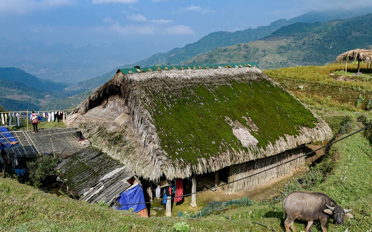 Độc đáo mái nhà sàn hàng chục năm tuổi phủ kín rêu