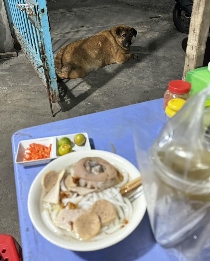 Muốn ăn thì nói, đừng làm hành động như vậy.