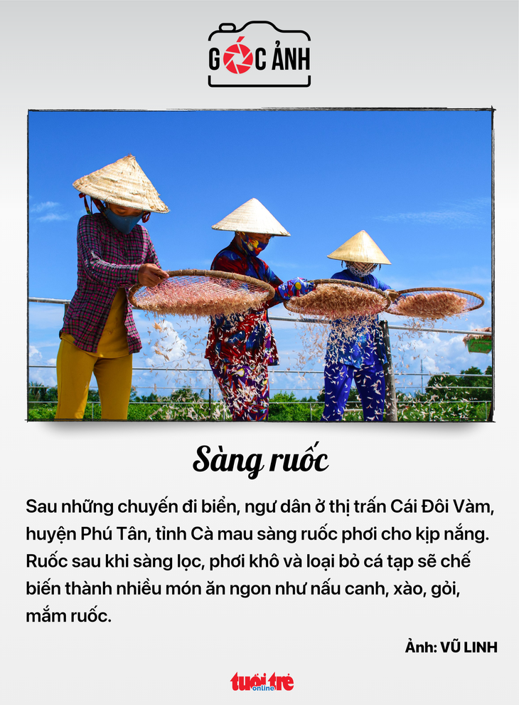 Sàng ruốc - Ảnh: VŨ LINH