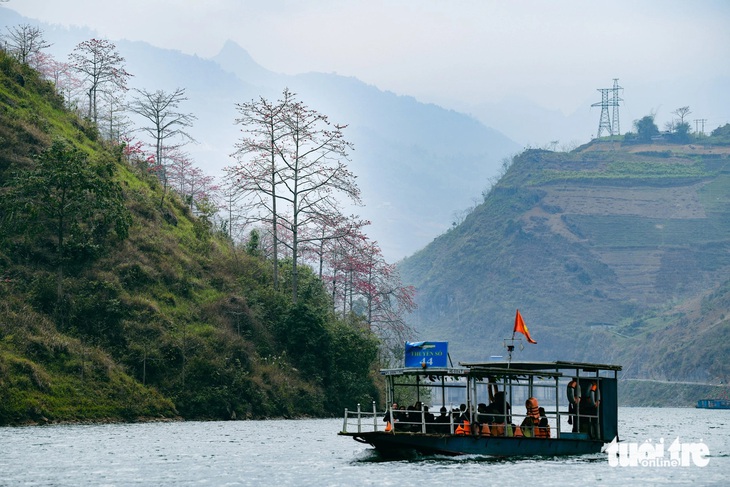 Mê mẩn những cung đường ngập tràn sắc hoa xuân ở Hà Giang- Ảnh 8.