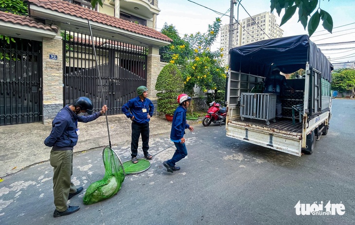 Đội bắt chó thả rông, không đeo rọ mõm của phường Hiệp Bình Chánh, TP Thủ Đức (TP.HCM) - Ảnh: CHÂU TUẤN