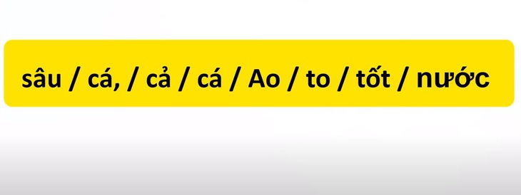 Thử tài tiếng Việt: Sắp xếp các từ sau thành câu có nghĩa (P51)- Ảnh 3.